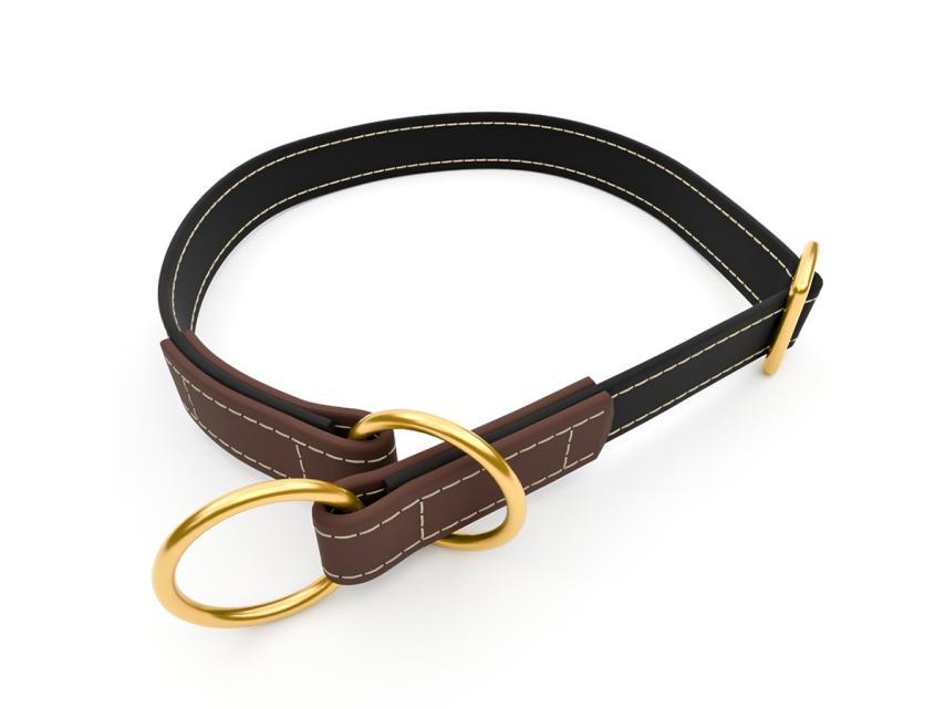 captns Biothane Zugstopp-Hundehalsband Fundstück Schwarz/Pecan 25mm/49-55cm Messing Ziernaht sand 1