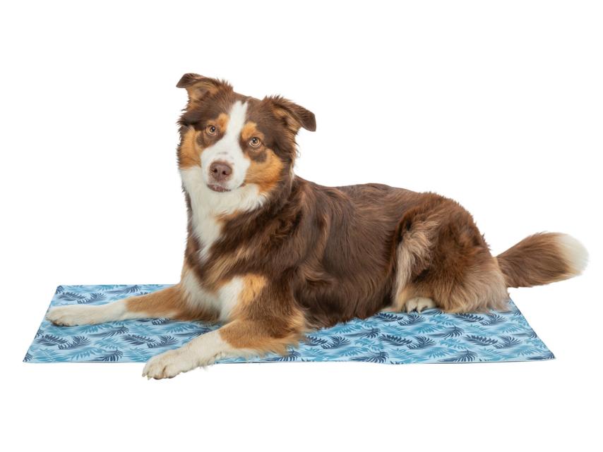 Kühlmatte mit Palmblättern für Hunde 1