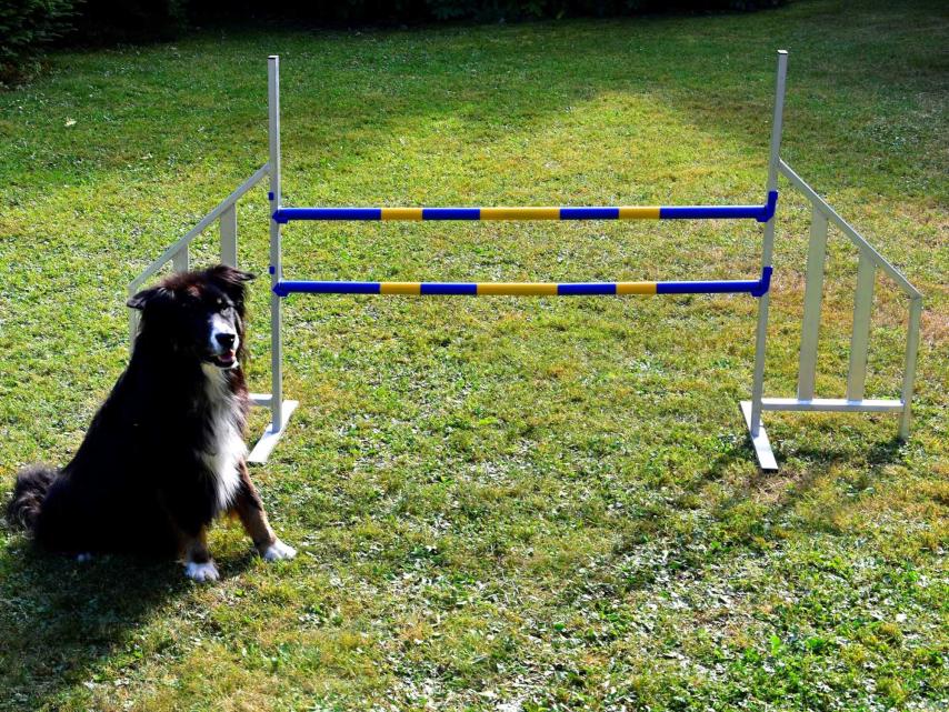Hunde Profi Alu Agility Hürde FCI konform 1