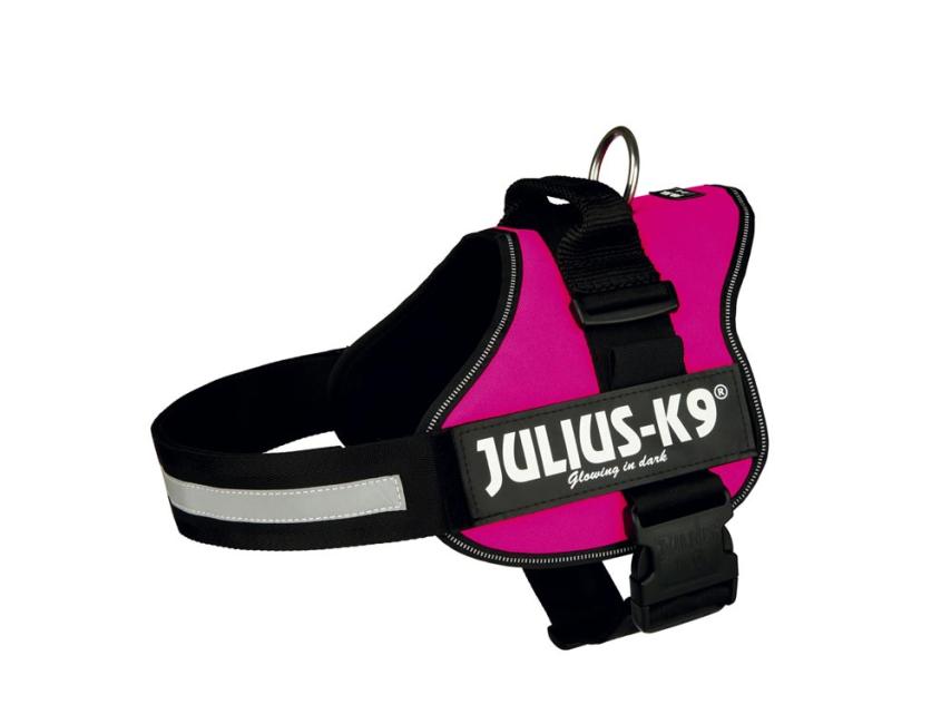 Julius-K9 Powergeschirr fuchsia -2- 1