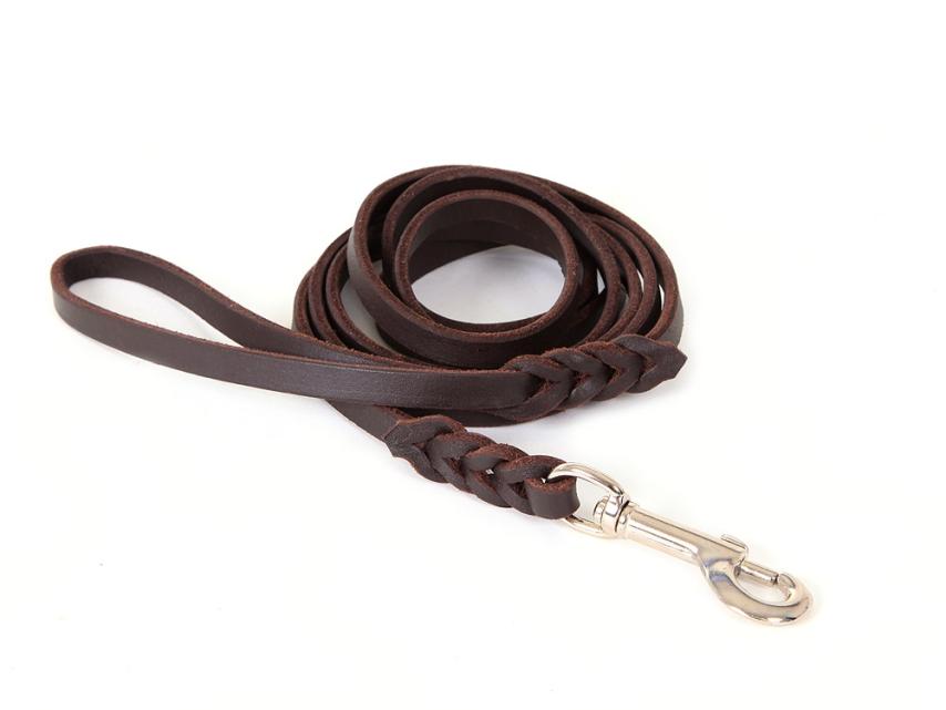 Relaxoo Fettleder Hundeleine -mit Schlaufe- - Länge: 5m, Breite: 8 mm 1