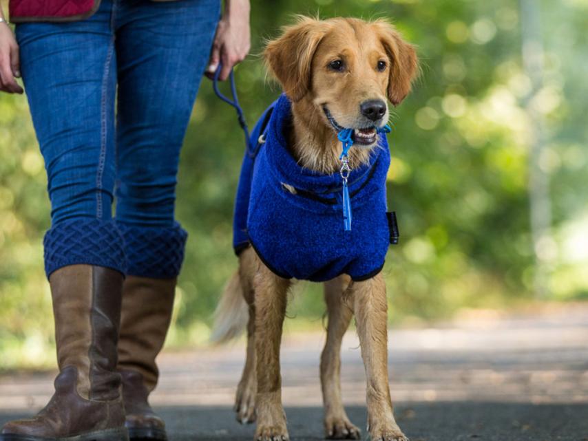 Dryup Cape Hundebademantel blueberry XS 1