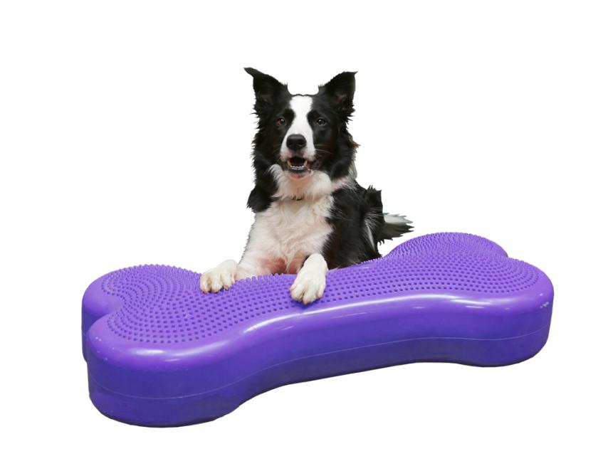 FitPAWS® Giant K9  FITbone™ violett 1