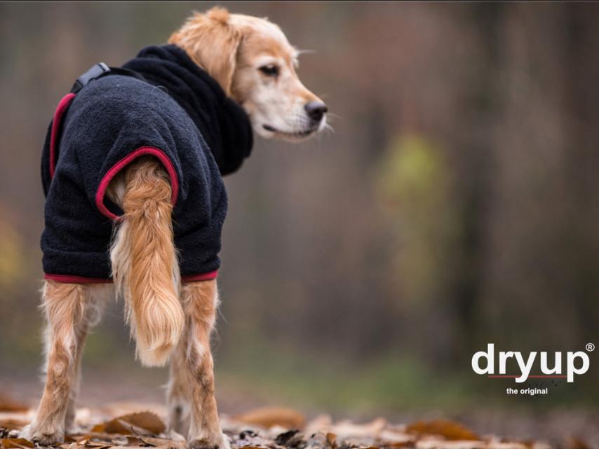Dryup Cape Hundebademantel schwarz XS 1