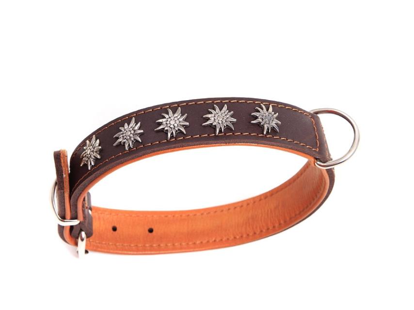 Relaxoo Fettleder Hundehalsband Edelweiß Just Hundesport Edition 50cm 1