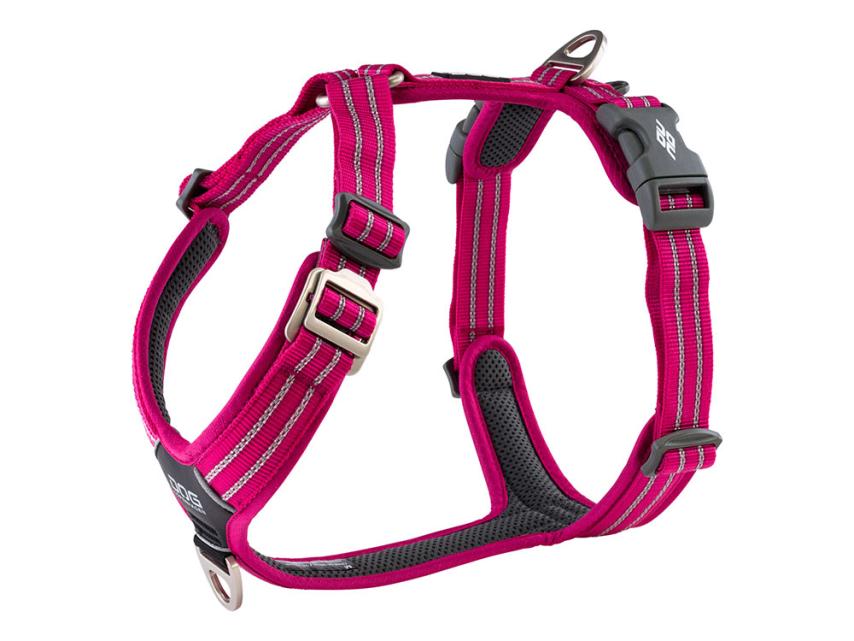 Dog Copenhagen Walk Air V2 Hundegeschirr Wild Rose 1