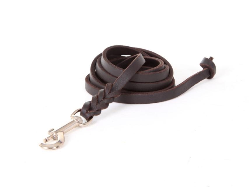 Relaxoo Fettleder Hundeleine -ohne Schlaufe- - Länge: 5m, Breite: 8 mm 1