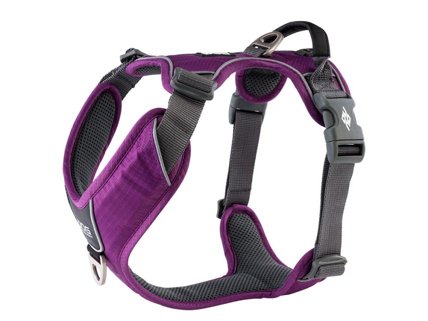 Comfort Walk Pro V2 Hundegeschirr Purple Passion XS 1