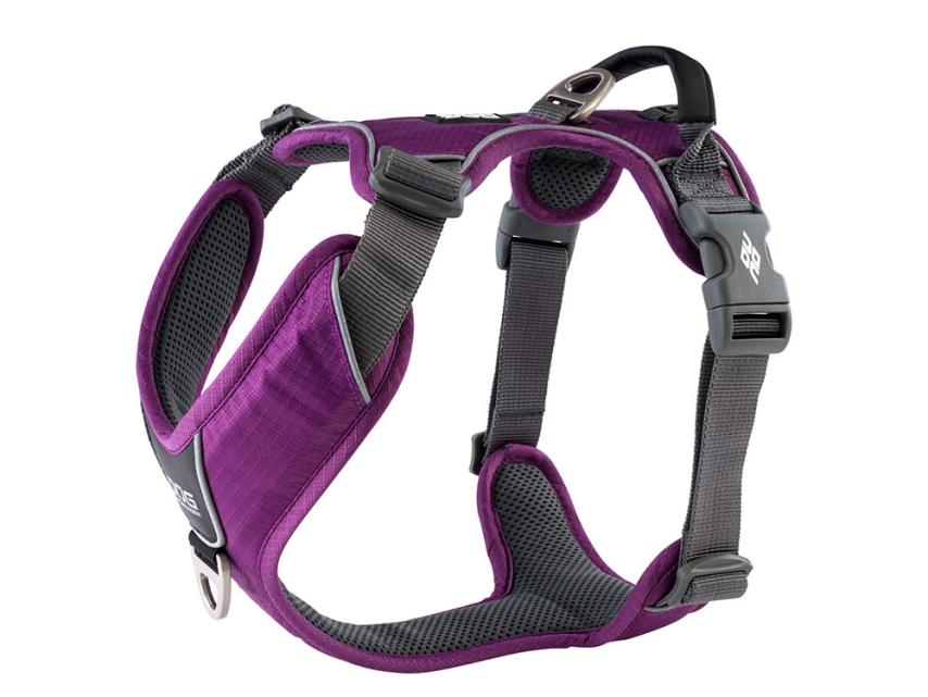 Comfort Walk Pro V2 Hundegeschirr Purple Passion L 1