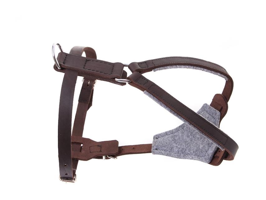 Relaxoo Fettleder Hundegeschirr Just Hundesport Edition 60 1