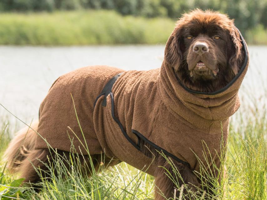 Dryup Cape Hundebademantel BIG braun 3XL, 84cm 1