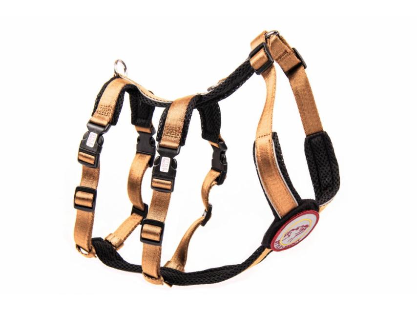 Style Snout Sicherheitsgeschirr Patch & Safe Gold M 1