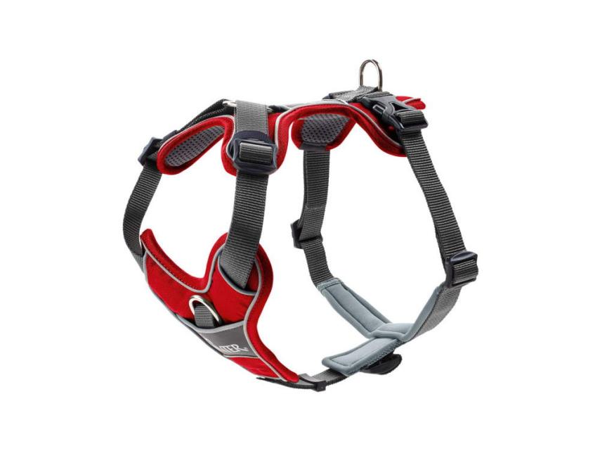 Hunter Hundegeschirr Divo rot/grau S-M 1