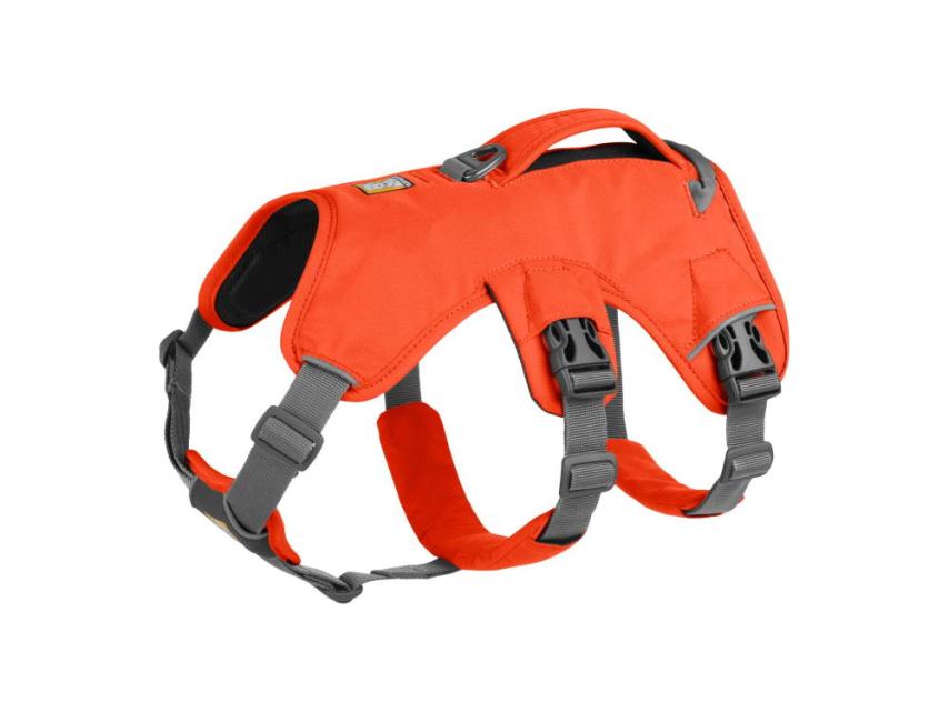 Ruffwear Web Master™ Hundegeschirr Blaze Orange XXS 1