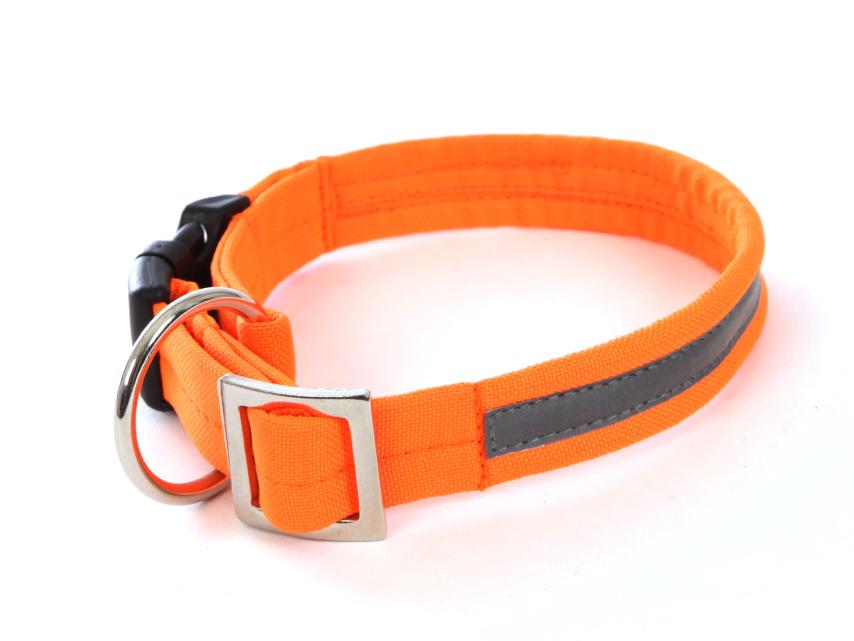 Weltmeisters Dogsport Hundehalsband Soft mit Click orange 1