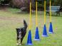 Dog Agility Slalomstange mit Stand-Pylone 1