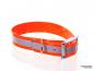 Relaxoo Biothane Reflex Hundehalsband orange 25mm breit 1