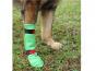 Hunde Latex-Schutzstrumpf Dog Gusti® 1