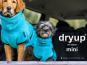 Dryup Cape Hundebademantel Mini Cyan 1