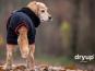 Dryup Cape Hundebademantel schwarz 1