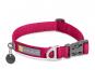 Ruffwear Front Range™ 2.0 Hundehalsband Hibiscus Pink 1