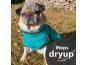 Dryup Cape Hundebademantel Mops petrol 1