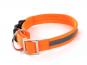Weltmeisters Dogsport Hundehalsband Soft mit Click orange 1