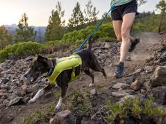 Ruffwear Trail Runner™ Hunde-Laufweste Lichen Green 10