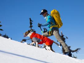 Ruffwear Furness™ extra warme Hundejacke Red Sumac XS 10