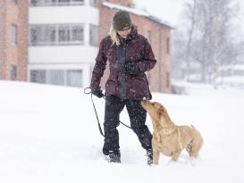 Pinewood® Dog Sports 2.0 Damen Jacke Earth Plum/Dark Anthrazit -S- 10