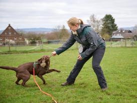 Owney Pro Dog Sport Damenjacke grau M 10
