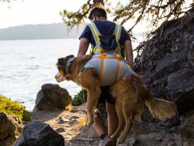 Ruffwear BackTrak™ Dog Evacuation Rettungsset für Hunde Medium 10