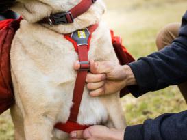 Ruffwear Palisades Pack Hunderucksack Red Sumac L/XL 10