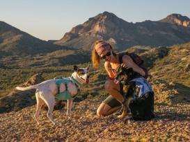 Ruffwear Swamp Cooler kühlendes Hundegeschirr Sage Green S 10