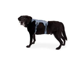 Ruffwear Web Master™ Hundegeschirr Slate Blue XXS 10