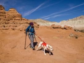 Ruffwear Web Master™ Hundegeschirr Red Sumac XXS 10