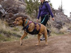 Ruffwear Web Master™ Hundegeschirr Purple Rain XXS 10