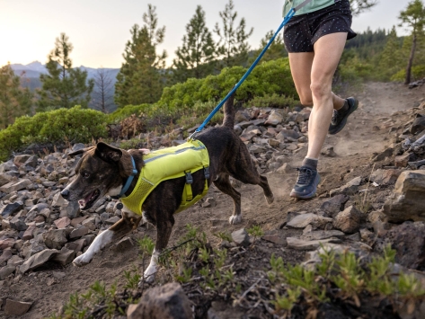 Ruffwear Trail Runner™ Hunde-Laufweste Lichen Green