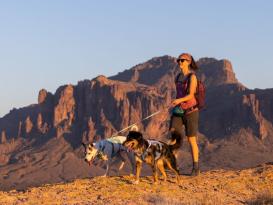 Ruffwear Swamp Cooler kühlendes Hundegeschirr Sage Green S 11