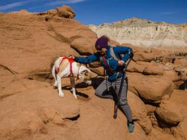 Ruffwear Web Master™ Hundegeschirr Red Sumac XXS 11