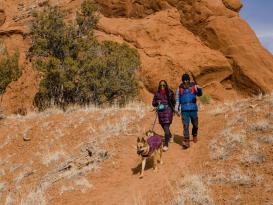 Ruffwear Overcoat Fuse Hundemantel-Geschirr Purple Rain XXS 11