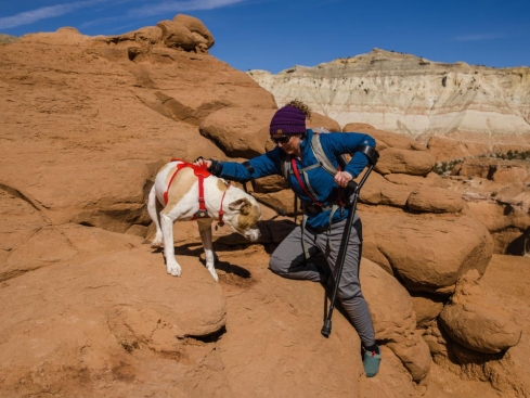 Ruffwear Web Master™ Hundegeschirr Red Sumac