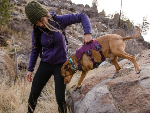 Ruffwear Web Master™ Hundegeschirr Purple Rain