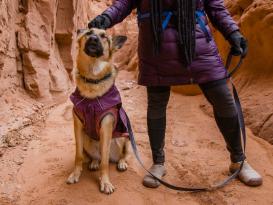 Ruffwear Overcoat Fuse Hundemantel-Geschirr Purple Rain XXS 12
