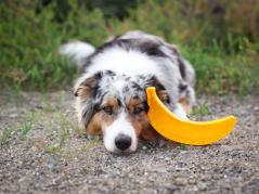 Ladi Mat Banane Schleckmatte für Hunde 2