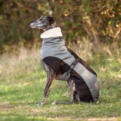 Dog's Finest Himmelsstürmer Windhund Wintermantel graphit-schwarz 2