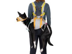 Ruffwear BackTrak™ Dog Evacuation Rettungsset für Hunde 2