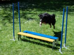 Hundesport Profi Agility Weitsprung-Hürde mit Eckpfählen 2
