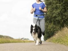 Jogging-Hüftgurt mit Hundeleine blau 2