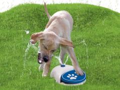 CoolPets Splash Water Fountain Wasserspender für Hunde 2